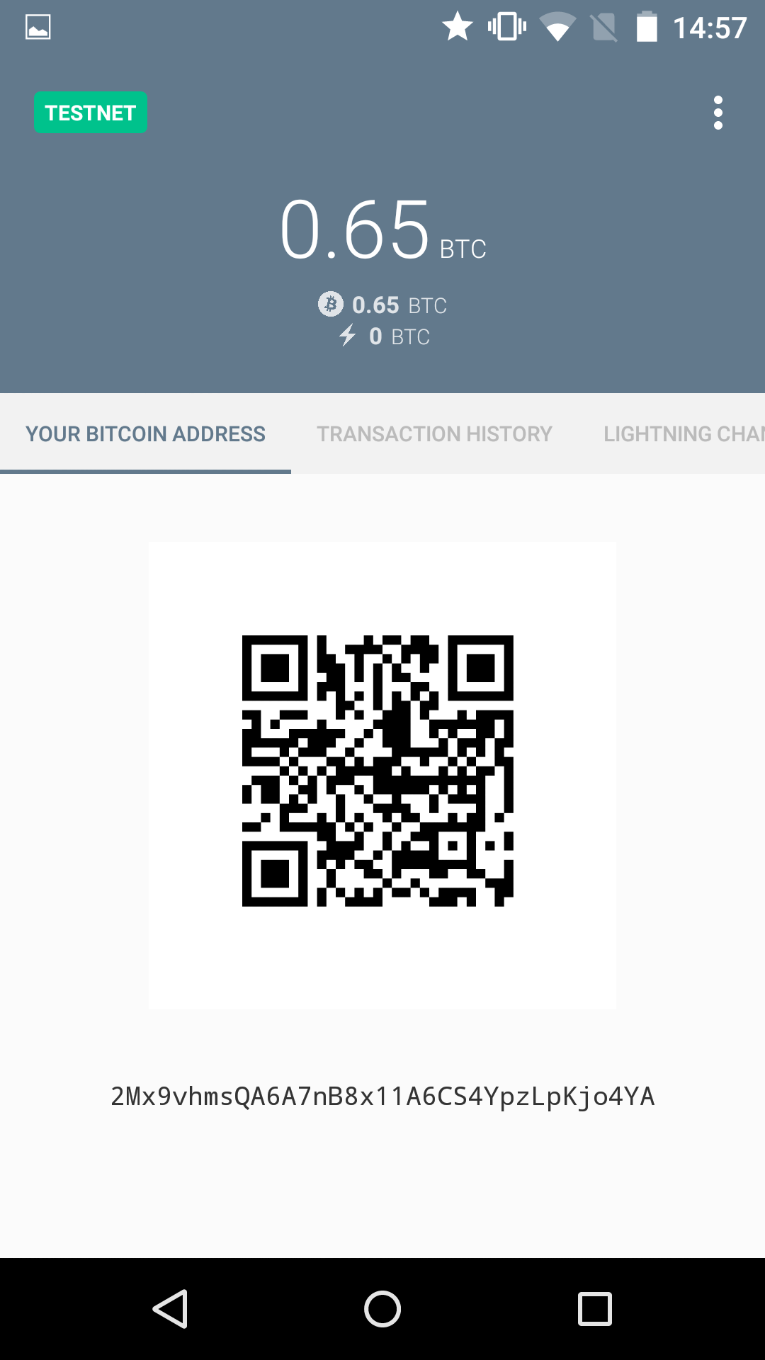 Eclair wallet address