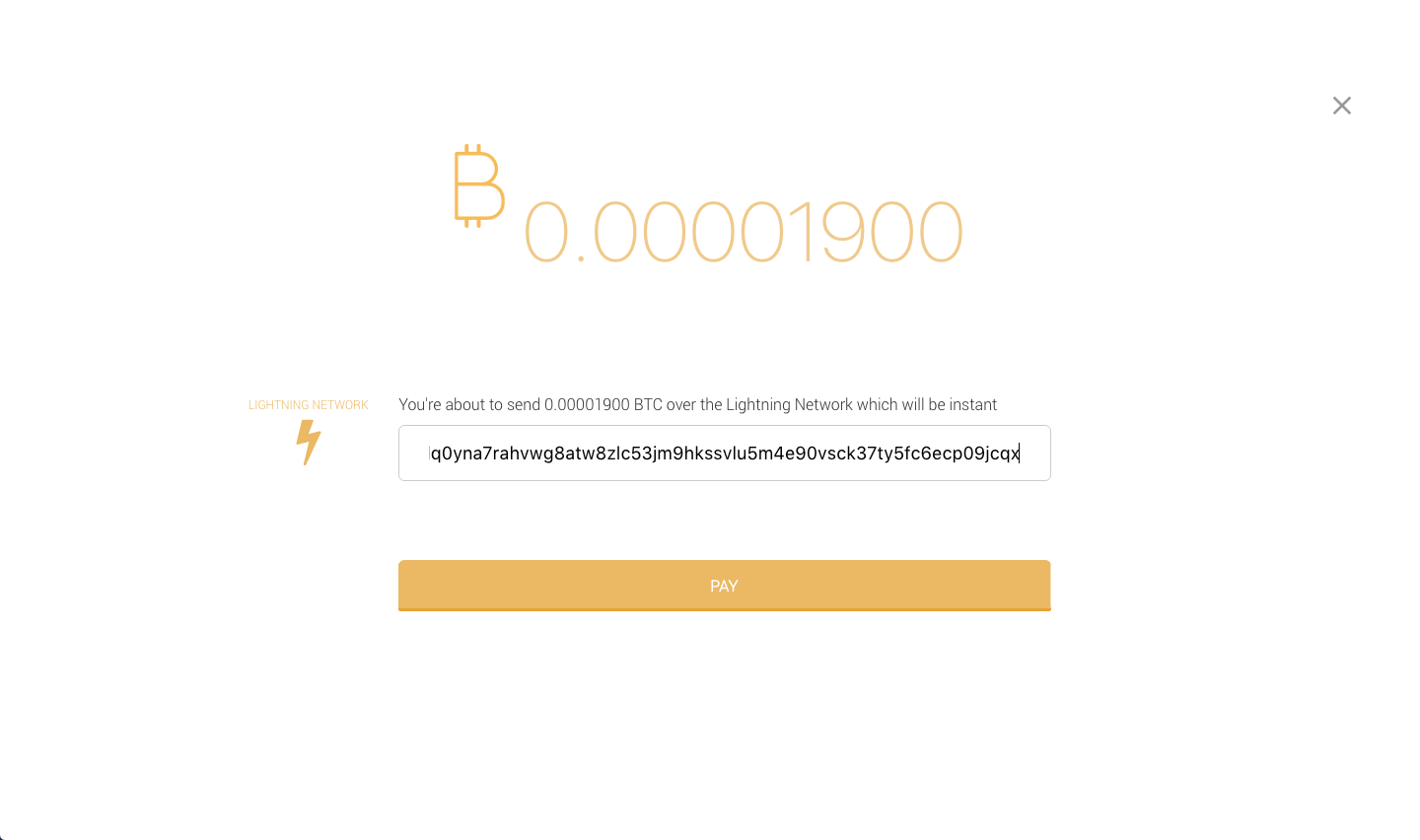 Zap payment page filled